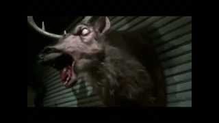 Taxidermy Horror Zombie Rat Version 2 Movie Prop 