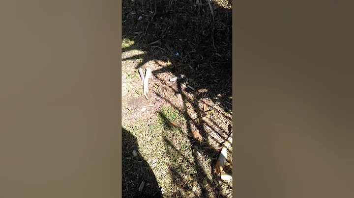 Wild waters abandoned (part 1)