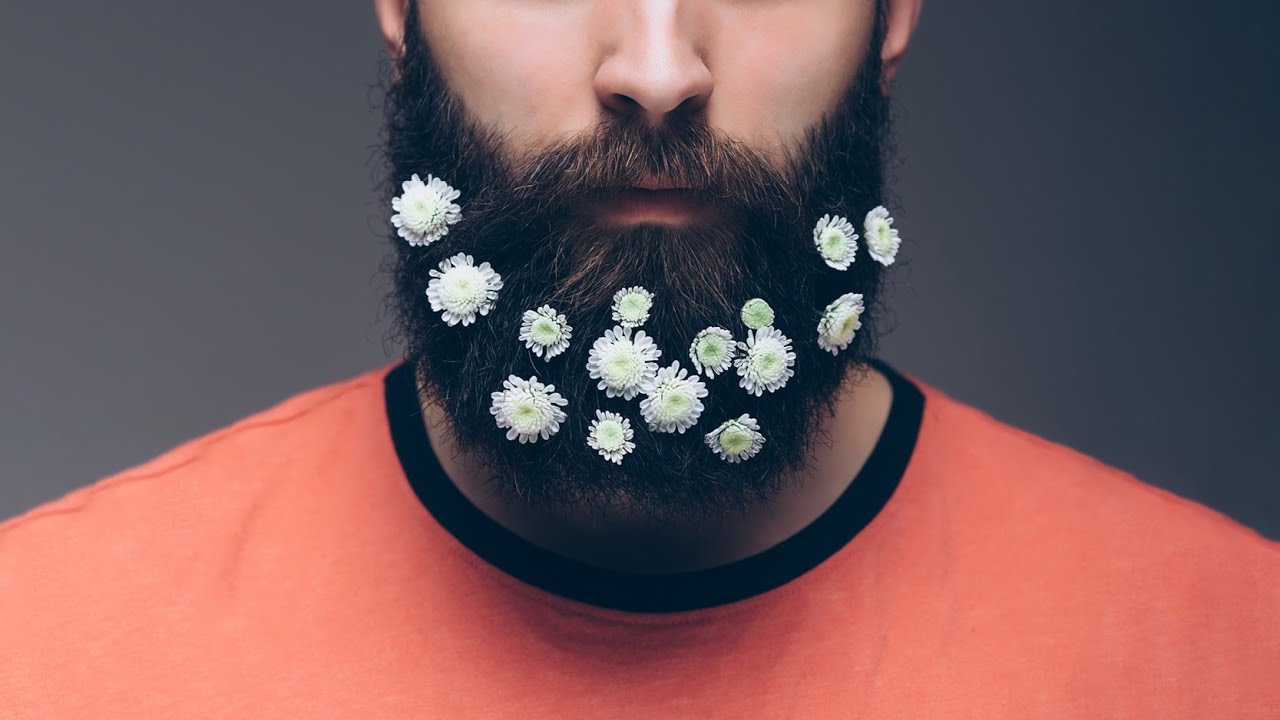 esquerdomacho: lobo em pele de cordeiro.