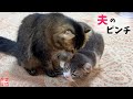 発作を起こしたパパから離れようとしないママの愛情に涙出た…
