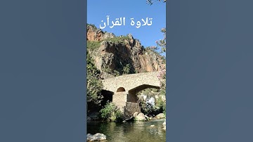 وقالوا الحمد لله الذي أذهب عنا الحزن إن ربنا لغفور شكور ❤️❤️📖#تلاوة_خاشعة