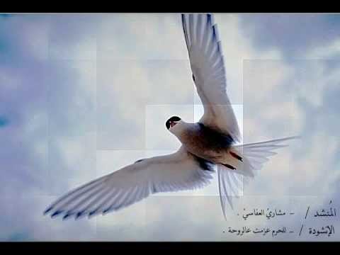 مشاري العفاسي للحرم عزمت عالروحة