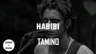 Tamino - Habibi | Slowed + Reverb