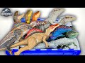 NEW Trex, Irex, Spino, Giga Dino Figure Collection! | Jurassic World Dominion Dinosaur Collectables