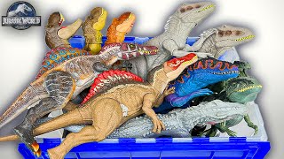 NEW Trex, Irex, Spino, Giga Dino Figure Collection! | Jurassic World Dominion Dinosaur Collectables screenshot 3