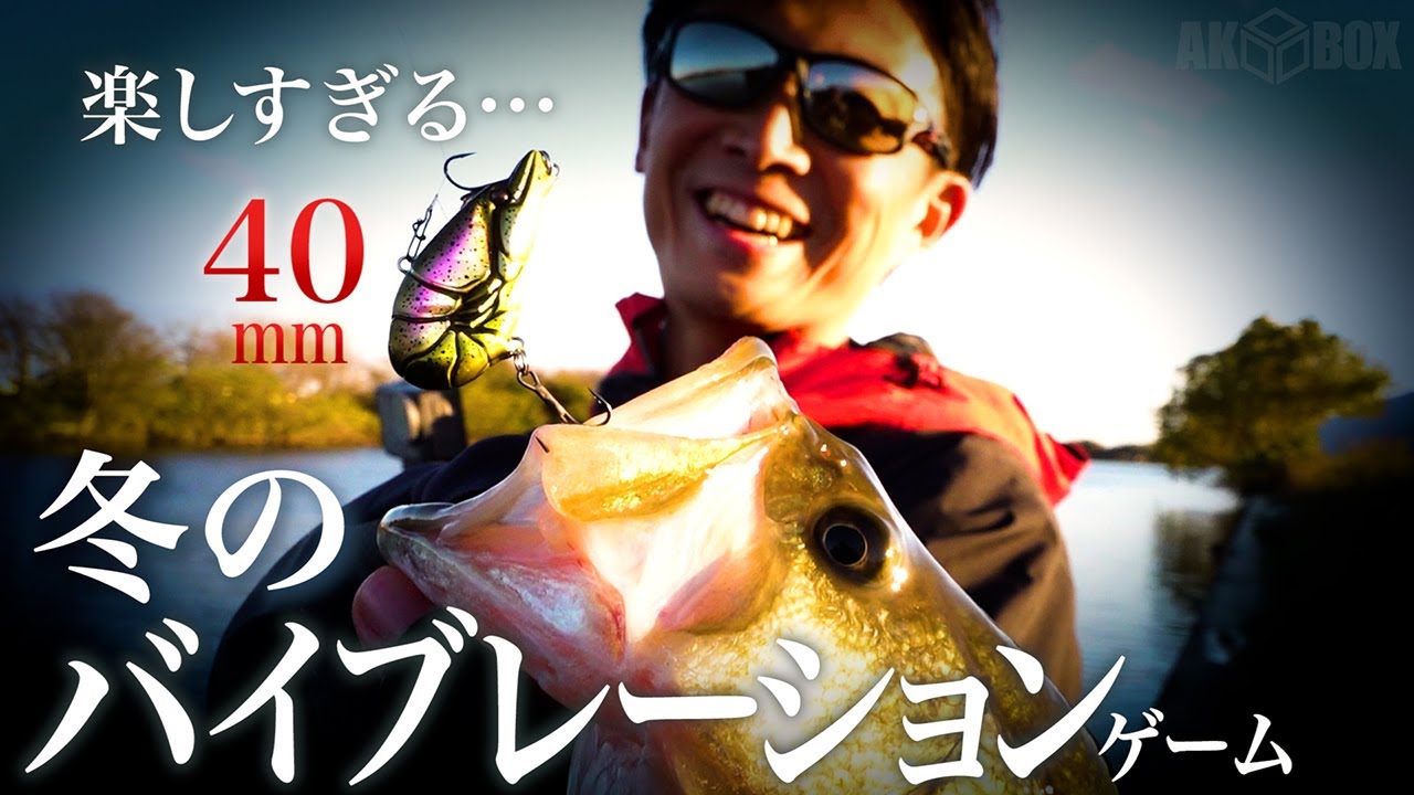 【バス釣り】冬にひとり勝ちできる『マイクロザリバイブ』テクニック【五三川】