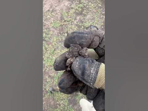 107 Year Old Silver! #metaldetecting - YouTube