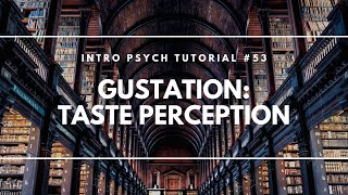 Gustation: Taste Perception (Intro Psych Tutorial #53)