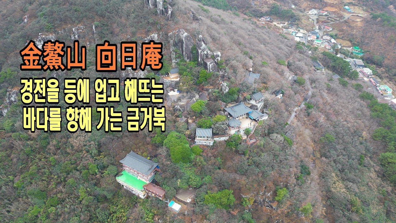 경전을 등에 업고 해뜨는 바다로 가는 금거북이