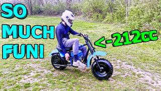 Riding The Mini Mule Minibike One Handed Dont Try This At Home