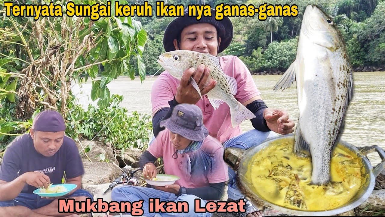 TIDAK BANYAK ORANG TAU CARA MANCING DI SUNGAI KERUH⁉️MASAK MAKAN DI PINGGIR SUNGAI