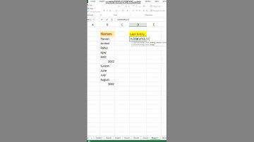#shorts | How to Find Last Entry in Column (Text or Number) #excel #trending