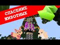 ВИДЕО ДЛЯ НОВОГО СТРИМА! НАЧАЛО. ПИТОМНИК И ОТЕЛЬ ЖИВОТНЫХ В МАЙНКРАФТ.