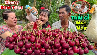 Hơn 50 Tuổi Lần Đầu Cha Mẹ Ăn Cherry Chấm Kem Tươi Béo Ngậy