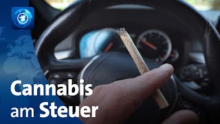 Bundestag berät über Regeln für Cannabiskonsum im Straßenverkehr