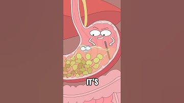 Why Do Bathroom Urges Strike After Eating Grapes?#animation #funny #shorts