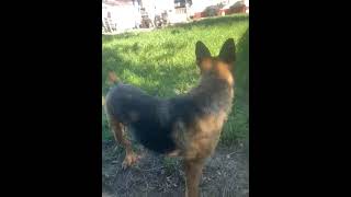 76800415685 B2Cdadf7 Fd04 43Fa B0Dd 0De3Ad3C251E