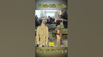 Cái Cuộc Chiến Bất Ổn Của Anh Đen Xì Xì Đầu Hàng Cũng Không Cho 🤣 #shorts