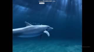 Download lagu Delphis films Logo