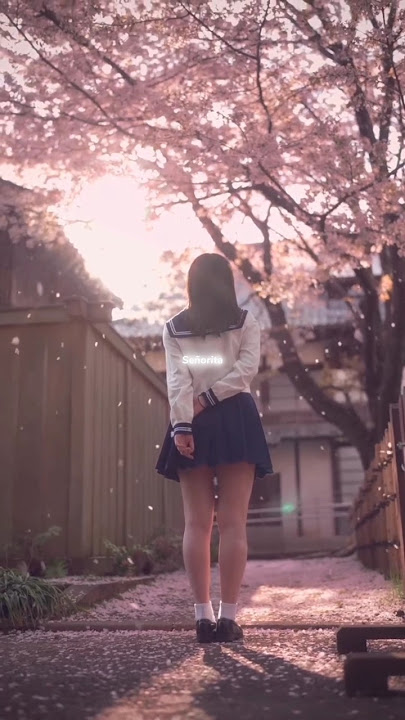 Señorita - Shawn Mendes and Camila Cabello - | Lyrics | Aesthetic Video | Status | Lyrics Edit |