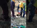 Video Image