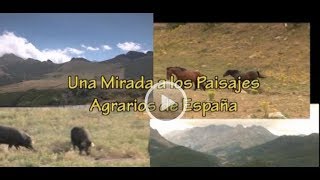 Una mirada a los paisajes agrarios de España. 1911