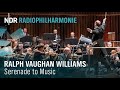 Capture de la vidéo Ralph Vaughan Williams: Serenade To Music | Andrew Manze | Ndr Radiophilharmonie