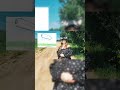 полное видео на канале #shorts #нло #легенда #миф #очевидцы #тверь #мистика #историярассекречена