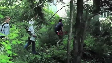 Looking Back: The Best of the Final Five