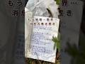 【閲覧禁止】恋人へ...友へ...樹海メモ2015年...触れてはいけない手紙...