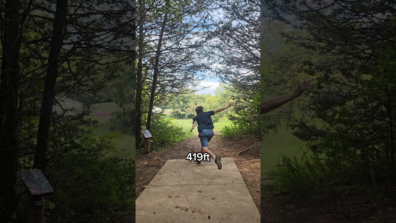 Birdie of the Day, my new favorite birdie! 