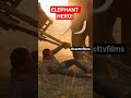 Elephant Lifts Trapped Farmer to Safety #reacttvfilms #elephant #animals #viral #shorts #reaction