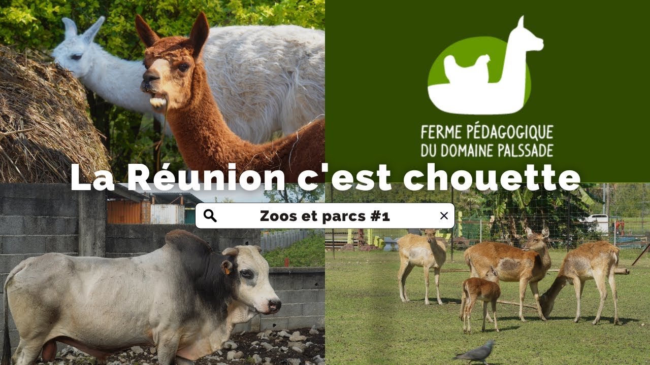 Ferme pédagogique du Domaine Palssade