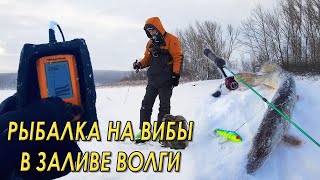 Вышли из дома, пробурили и поймали! Рыбалка на вибы в заливе Волги.