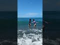 Черное море 24(4)