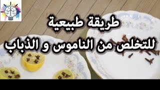 طريقة طبيعية لطرد الناموس-  البعوض -  والذباب  و التخلص منها نهائيا