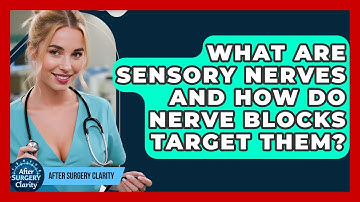 What Are Sensory Nerves And How Do Nerve Blocks Target Them? - After Surgery Clarity