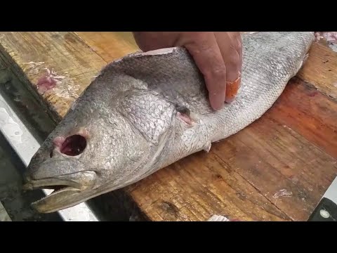 REMOVE FISH EYES for grilling | Cutting Big Fish from the Back
