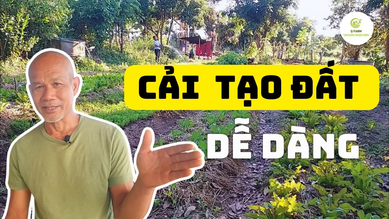 🍃 Tôi Đã Cải Tạo Đất Sỏi Đá Thành Giàu Dinh Dưỡng Ra Sao ❓ - Jon Jandai (Thuyết Minh Tiếng Việt) 💚