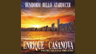 Can You Feel The Love Tonight