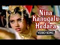 Nina Kanugalu Hedara -  Shivaraj Kumar - Kannada Hit Songs