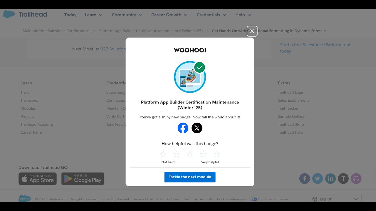 Platform App Builder Certification Maintenance (Winter '25) Solution