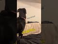 Dog Enjoying TV #shorts #dogs