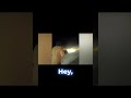 Did that just actually explode? Watch until the end!