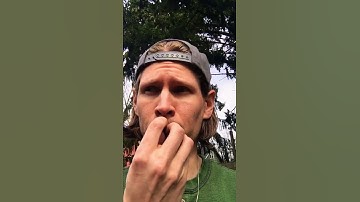 The Geotechnical Engineer