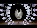 The Very Best Of Iris Van Herpen