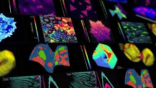Raman Microscopy RAMACLE® Software Highlights (Various) Raman Microscopy RAMACLE® Software Highlights (Various)