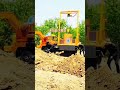 #Four-in-One Truck with Excavator#Dump Truck#Gather the Photosynthesis Project Creators
