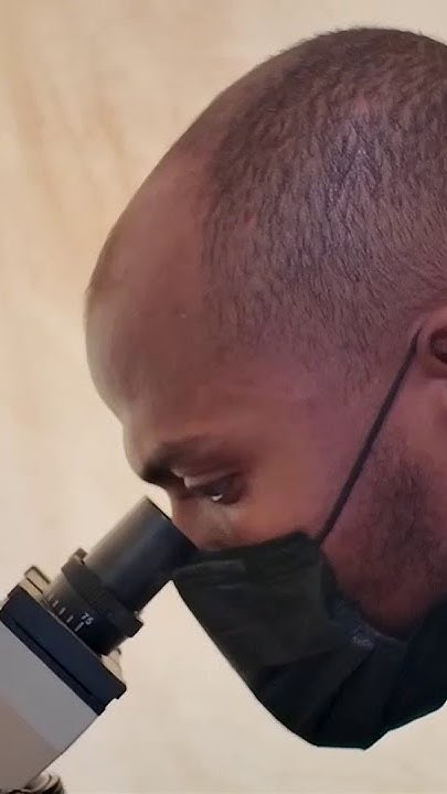         
 - نشر قبل 23 دقيقة