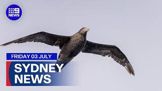 9News Sydney | Friday 3 July | Full Bulletin